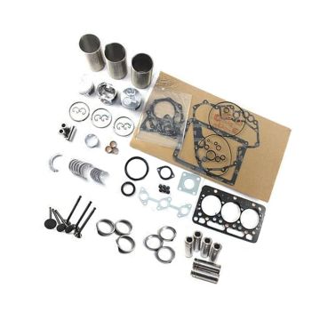 Overhaul Rebuild Kit Kubota Engine D905
