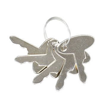 5PCS Ignition Keys 5252 1570 New Holland Tractor 1210 1320 1520 1530 1620 1630 1715 1720 Vermeer Chipper 935 Wacker Wheel Loader WL30