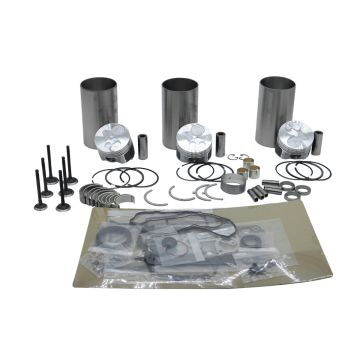 Overhaul Rebuild Kit Piston Ring Liner Bearing Full Gasket Toro Dingo Track Loader TX525 Kubota Engine D902 