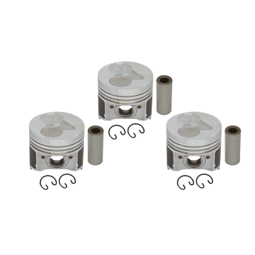Pistons Set 3PCS 67mm STD Size for Kubota for Thomas