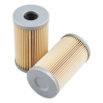 Fuel Filter T111383 2Pcs for John Deere