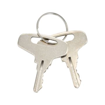 Ignition Key 22379 2PCS
