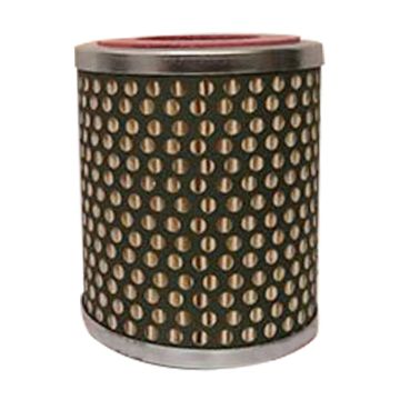 Fuel Filter 67305 for Landini for Case IH for David Brown for JCB for Massey Ferguson