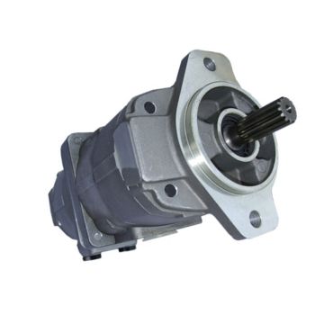 Hydraulic Pump Assembly 0743672902 for Komatsu