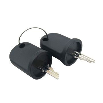 2PCS Ignition Switch Keys 611282 605946 606993 EZGO Below RXV Gas Electric Vehicles 2008 - Current RXV Golf Carts All