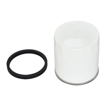 Oil Filter P502022 for JLG 