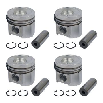 Piston Kit 4955416 For Cummins