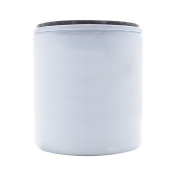Fuel Filter 5011090 for Johnson