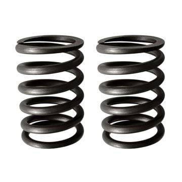 Intake And Exhaust Valve Spring for Kipor