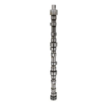 Buy Camshaft for Hino Engine W06E W06D Online