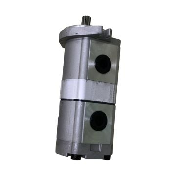 Gear Pump 4278696 for Hitachi