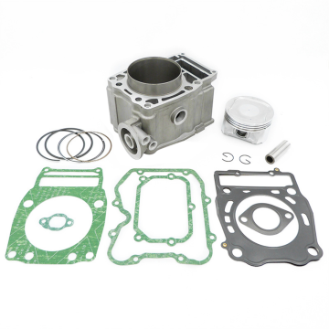 Cylinder Piston Engine Kits 3089966 for Polaris 