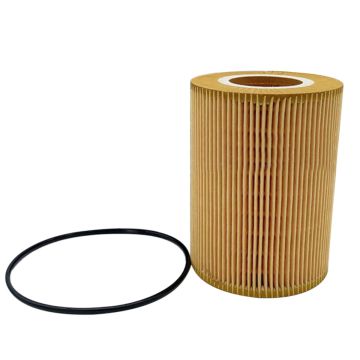 Oil Filter 5021188231 for DAF