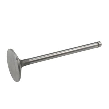 Exhaust Intake Valve 1842913C1 For Navistar International