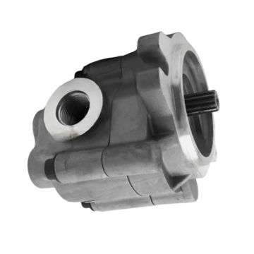 Gear Pump CA2897917 for Caterpillar