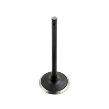 Exhaust Valve 1842912C1 For Perkins