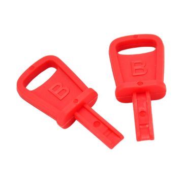 Snowblower Ignition Key 2 pcs 794696 For Briggs & Stratton