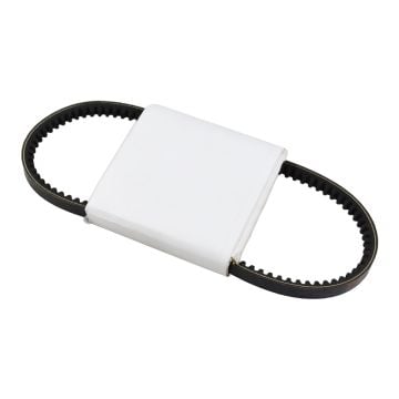 Water Pump Belt 10-78-679 for Thermo King