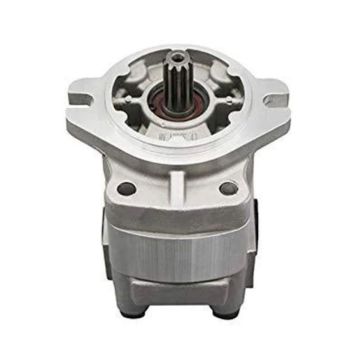 Hydraulic Gear Pump 7054001020 for Komatsu
