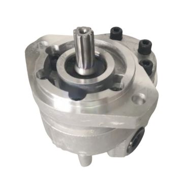 Hydraulic Gear Pump 160-0196 For Caterpillar CAT 