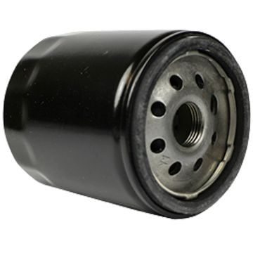 Oil Filter 4113986 For Kubota