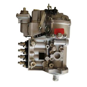 Fuel Injection Pump 4946963 For Cummins