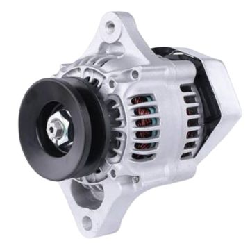 Alternator 34070-75600 Gehl Skid Steer Loader SL3825 Thomas Skid Steer Loader T153
Kubota Tractor B1550 (DT, DTEX, HSD, HSDT & HSE), B1750 (DT, E, HSD, HSDT & HSE), B2150 (DT, DTB, E, HSD, HSDT, HSDTB & HSE), B2400 