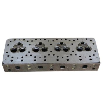 Cylinder Head 6114-11-1100 6114111100 Komatsu Engine 4D120 4D130 EC105V D50 D50A D53
