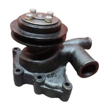 Water Pump Assembly P070350 For Swaraj