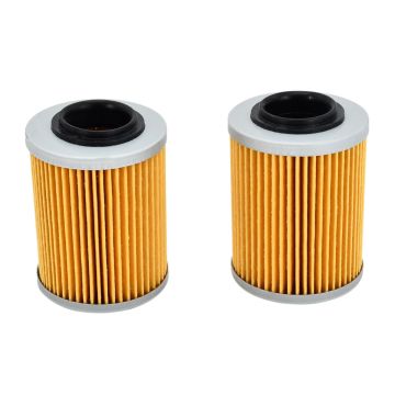 2PC Oil Filter 21040111601 For ODES