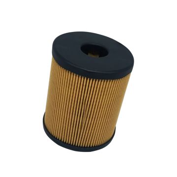 Fuel Filter FS19855 for Fleetguard