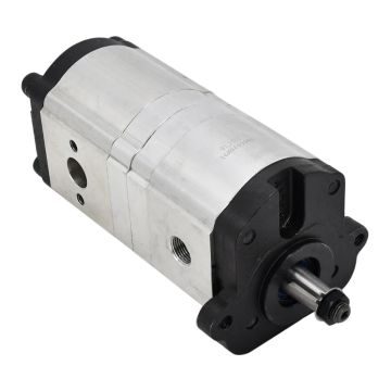 Hydraulic Pump 0510365315 for Landini