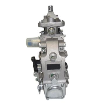 Fuel Injection Pump 3973900 For Cummins