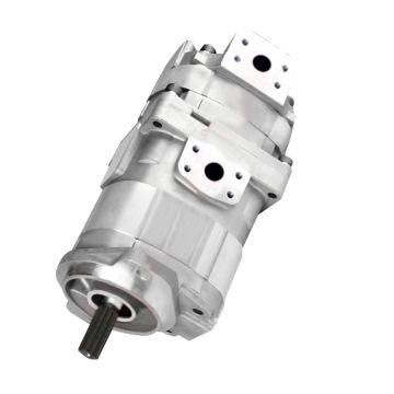 Hydraulic Gear Pump 705-52-20100 For Komatsu 
