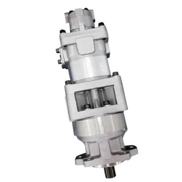 Hydraulic Pump 705-57-46000 for Komatsu