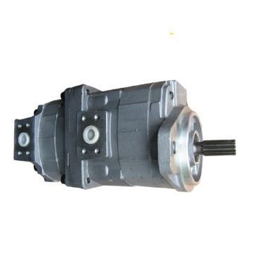 Hydraulic Pump 705-52-10001 for Komatsu