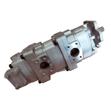 Hydraulic Pump Assembly 705-56-34000 For Komatsu