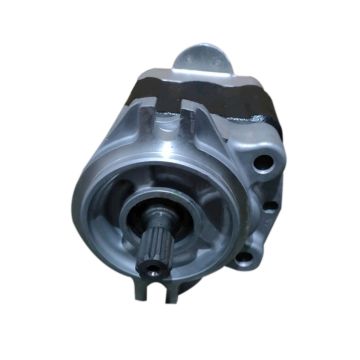 Hydraulic Gear Pump 234-60-65200 for Komatsu 