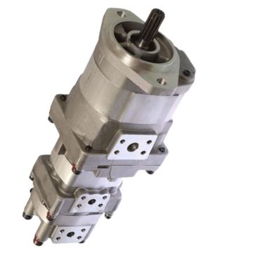 Hydraulic Pump 705-57-21000 For Komatsu
