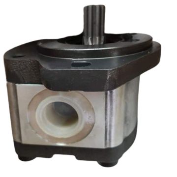 Gear Pump 00001297 for Dingli