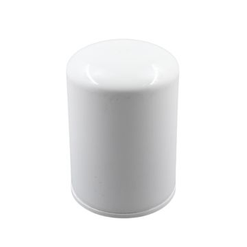 Oil Filter 40195621 For LS