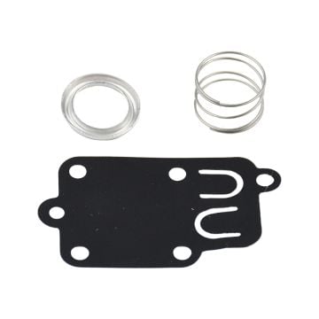 Diaphragm Kit 5021D For MTD