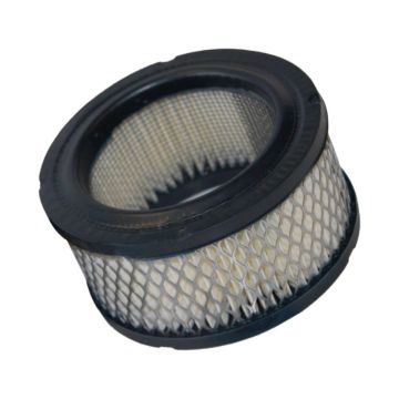 Air Compressor Polyester Filter Element P05050A For Champion