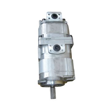 Hydraulic Pump 705-51-20430 For Komatsu