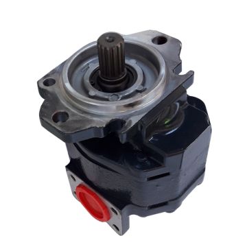 Hydraulic Pump 705-95-01020 for Komatsu 