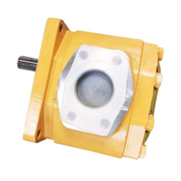 Hydraulic Pump 704-11-38100 for Komatsu 