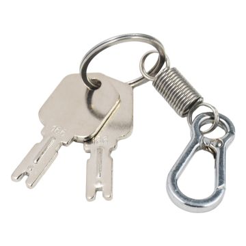 2pcs Forklift Ignition Keys #166 186304 For Hyster