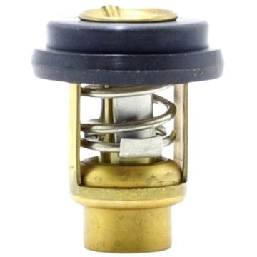 Thermostat 855676002 For Mercury