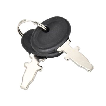 2pcs Ignition Switch Key TX10998 For Long