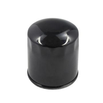 Oil Filter 7064196M91 For Massey Ferguson